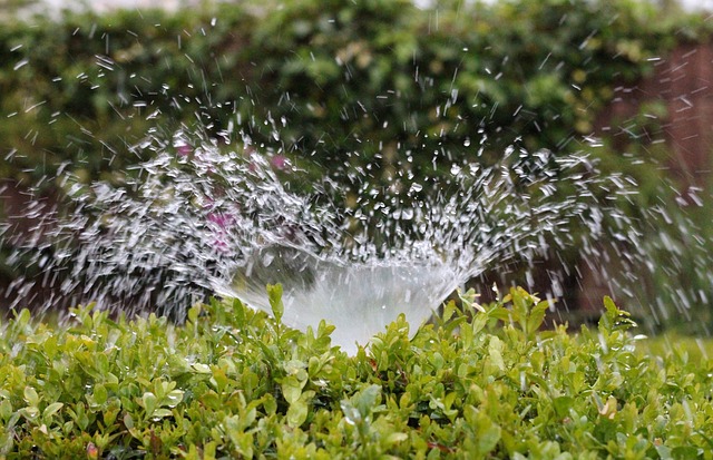 Gartenbewässerung