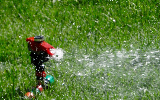 Sprinkler im Einsatz